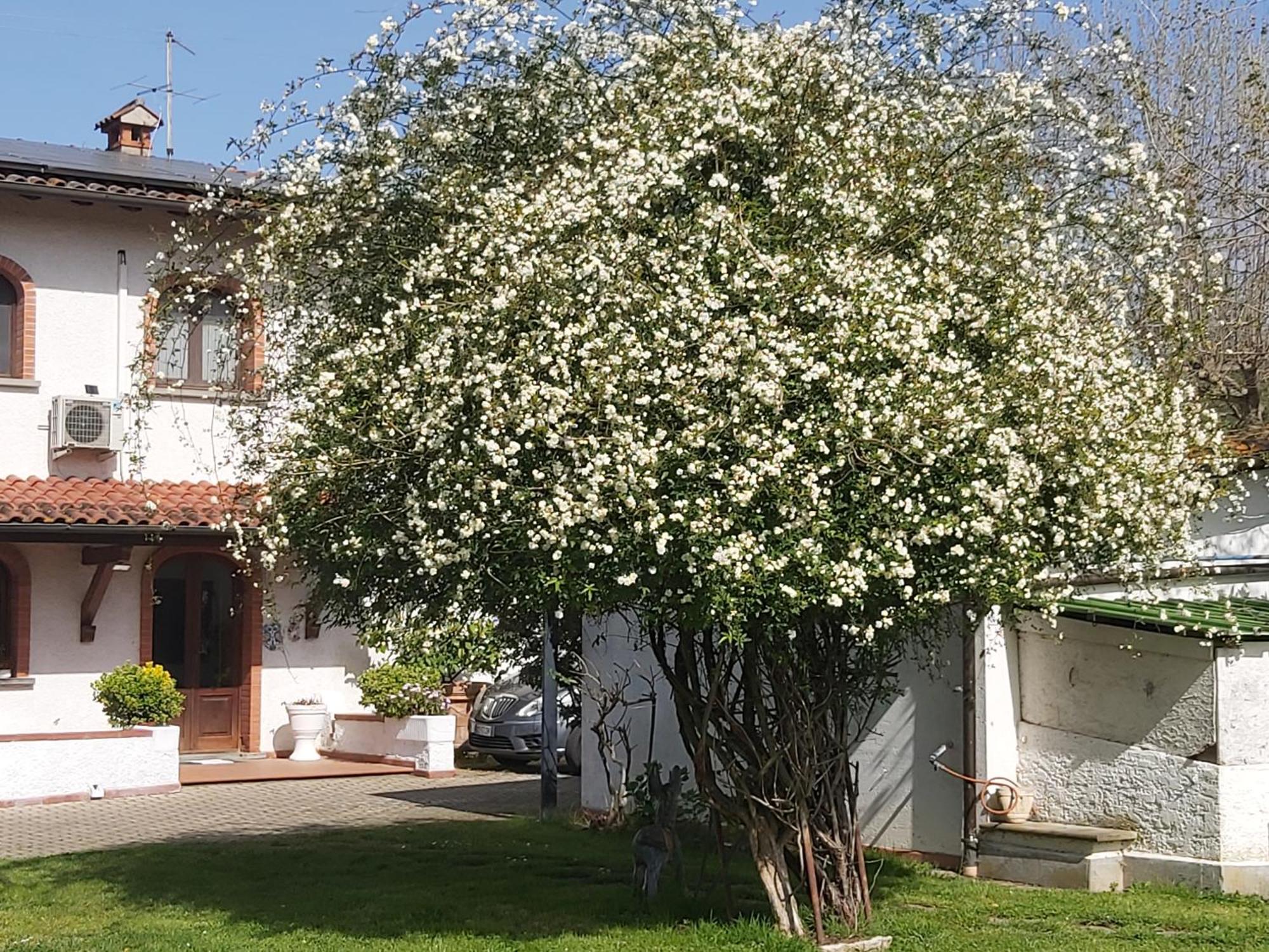Villa Fioccomare كامايوري المظهر الخارجي الصورة